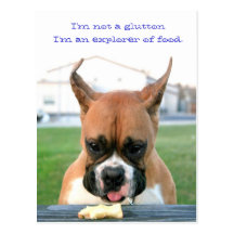 Boxer glutton postcard