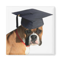 Boxer graduate magnet
