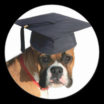 Boxer Graduate stickers stickers