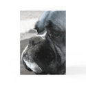 Boxer greeting card