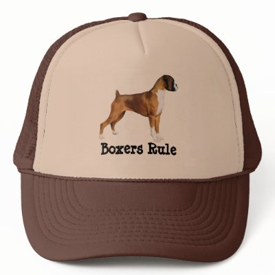 Boxer Hat