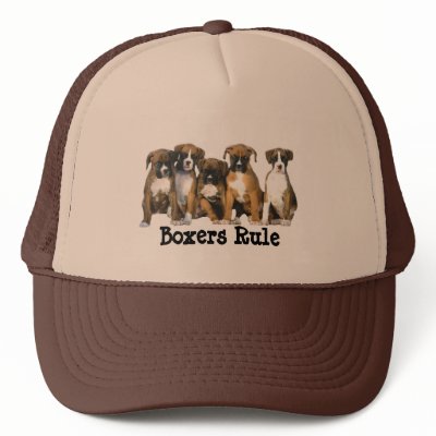 Boxer Hat