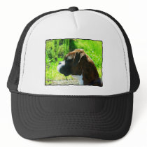 Boxer headshot hats