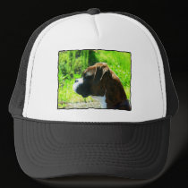 Boxer headshot hats