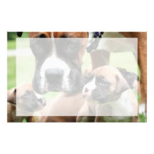 Boxer - Helicopter Mom Stationery