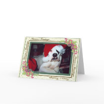 Boxer Holiday Card