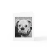 Boxer Love Notecard