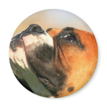 Boxer magnet by ritmoboxer Boxer magnet