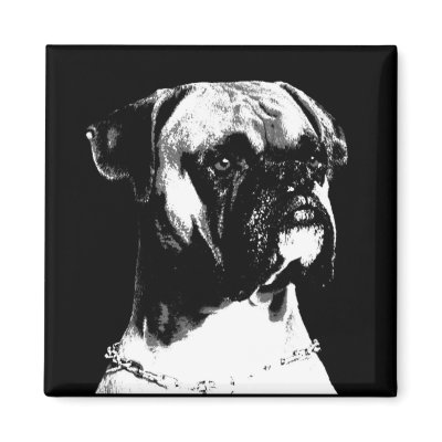 Boxer magnet by Junglegeorge
