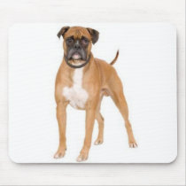 Boxer Mousepad mousepads