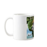 Boxer mugs