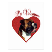 Boxer My Valentine Post Cards