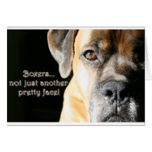 Boxer:  Not Just Another Pretty Face Cards