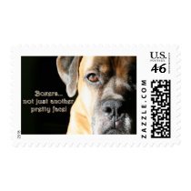 Boxer:  Not Just Another Pretty Face Postage Stamps