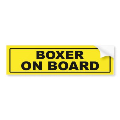 Boxer on Board Bumper Sticker by RayBarnsbury