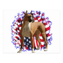 Boxer Patriot Post Card
