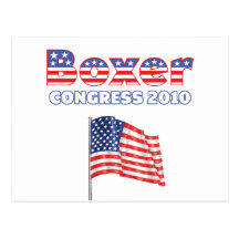 Boxer Patriotic American Flag 2010 Elections Postcard