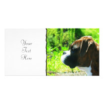 Boxer photocard