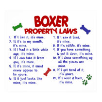 BOXER PL2 posters
