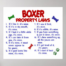 BOXER PL2 PRINT