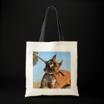 Boxer playing tote bag
