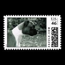Boxer postage