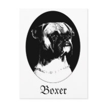 Boxer postcard by Junglegeorge Boxer postcard