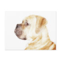 Boxer postcard by ritmoboxer Boxer postcard