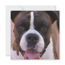 Boxer Pup Invitation
