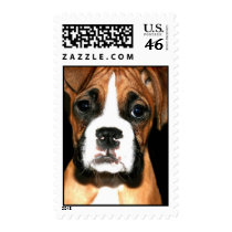Boxer pup stamp