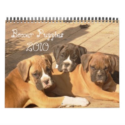 boxer puppies pictures. Boxer Puppies 2010 Calendar by