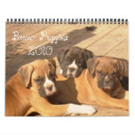 Boxer Puppies 2010 Calendar