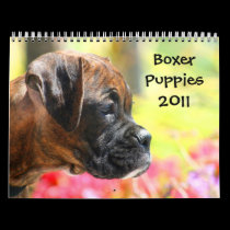 Boxer Puppies 2011 Calendar calendars