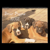 Boxer Puppies 2012 Calendar