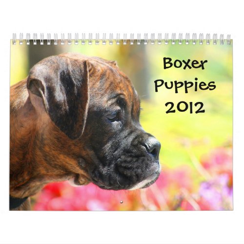 Boxer Puppies 2012 Calendar calendar