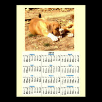 Boxer puppies 2012 calendar poster posters