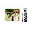 Boxer puppies 9Y049D-064 postage