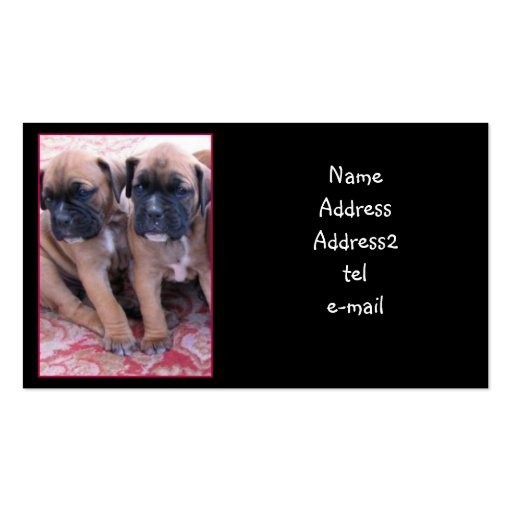 Boxer puppies business card