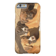 Boxer puppies iPhone 6 case Barely There Universal