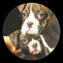 Boxer puppies stickers stickers