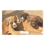 Boxer puppies stickers