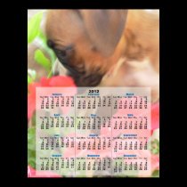 Boxer puppy 2012 calendar poster posters