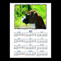 Boxer puppy 2012 calendar poster posters