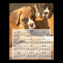 Boxer puppy 2012 calendar poster posters
