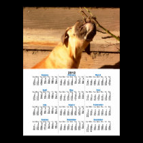 Boxer puppy 2012 calendar poster posters