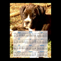 Boxer puppy 2012 calendar poster posters