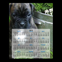 Boxer puppy 2012 calendar poster print posters
