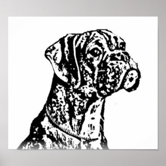 Boxer puppy Art Poster print
