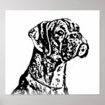 Boxer puppy Art Poster posters