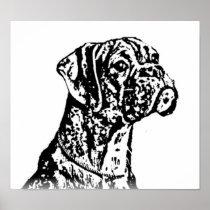 Boxer puppy Art Poster
